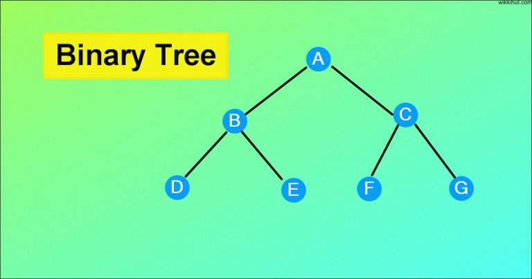 What Is Binary Tree | Types Of Binary Trees With C++ Program