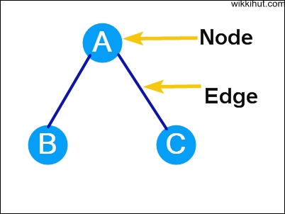 Node and edge of a tree