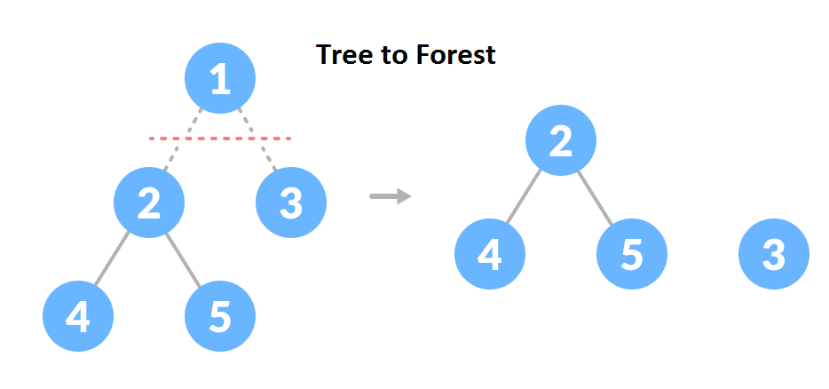 forest tree data structure